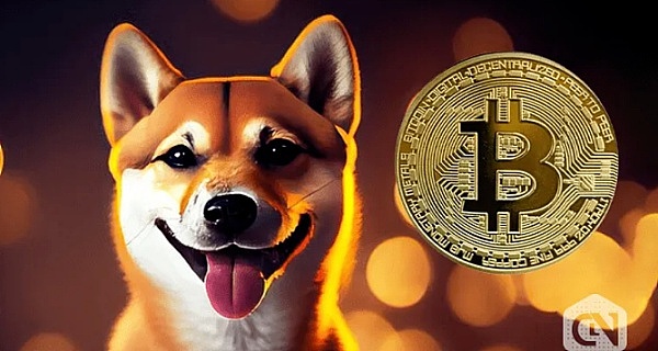 昨天的空单布局简直完美！比特币500点，以太坊50+点收益到手