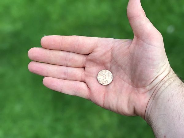 为什么我对Solana如此着迷？一位区块链老兵的深度思考