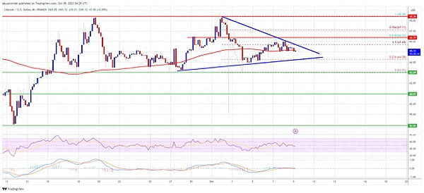 Pepecoin大手笔销毁代币 市场反应热烈